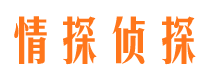 新疆市侦探调查公司